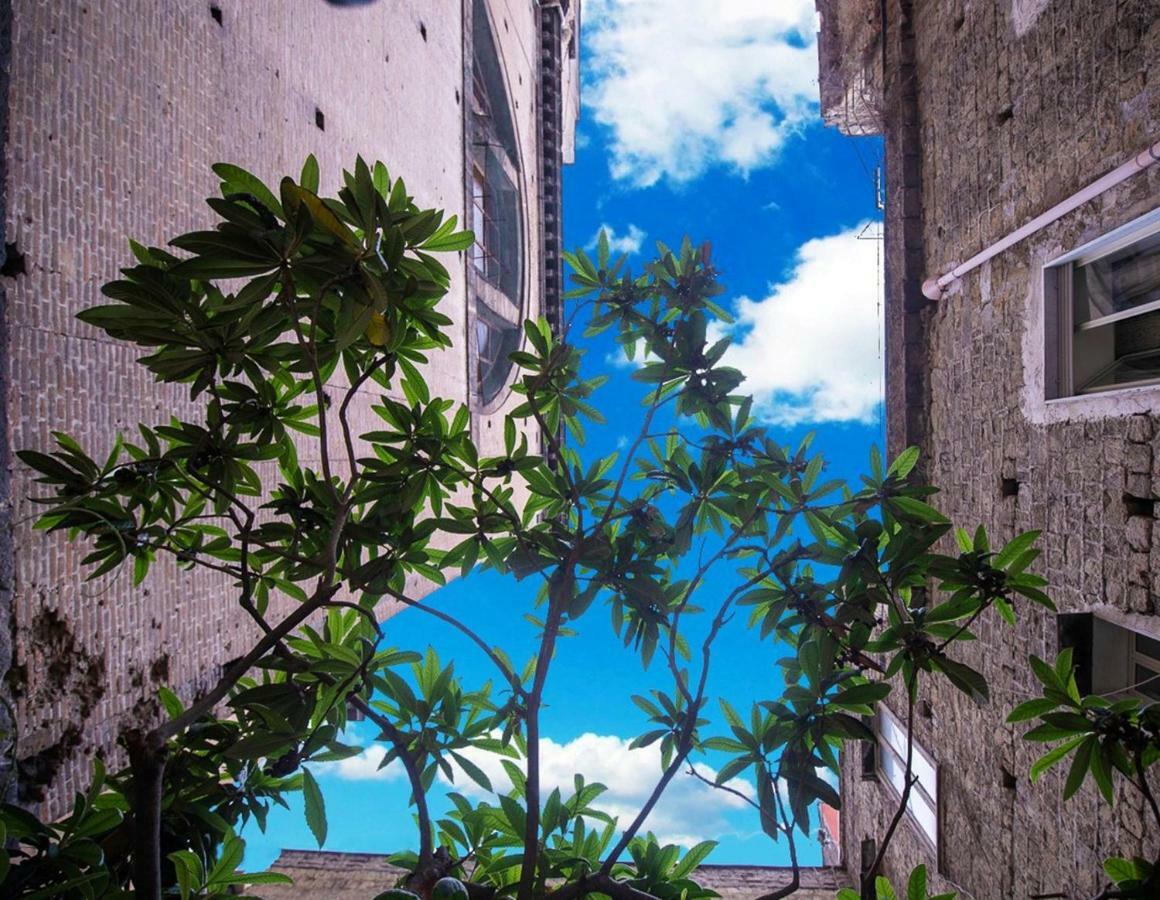 B&B Al Centro Storico Napoli Eksteriør billede